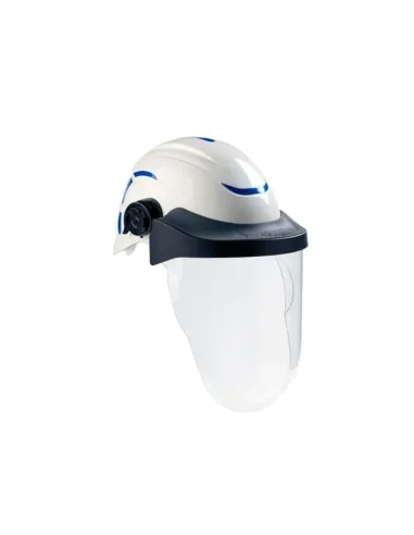 Visiera Elettrica S810 Centurion-Riberti Antinfortunistica