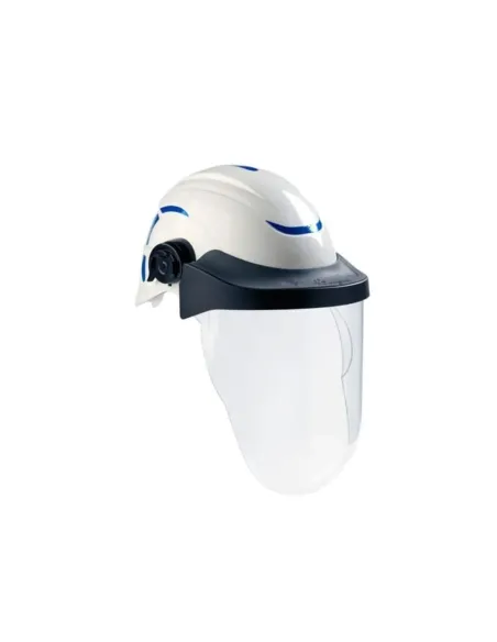 Visiera Elettrica S810 Centurion-Riberti Antinfortunistica